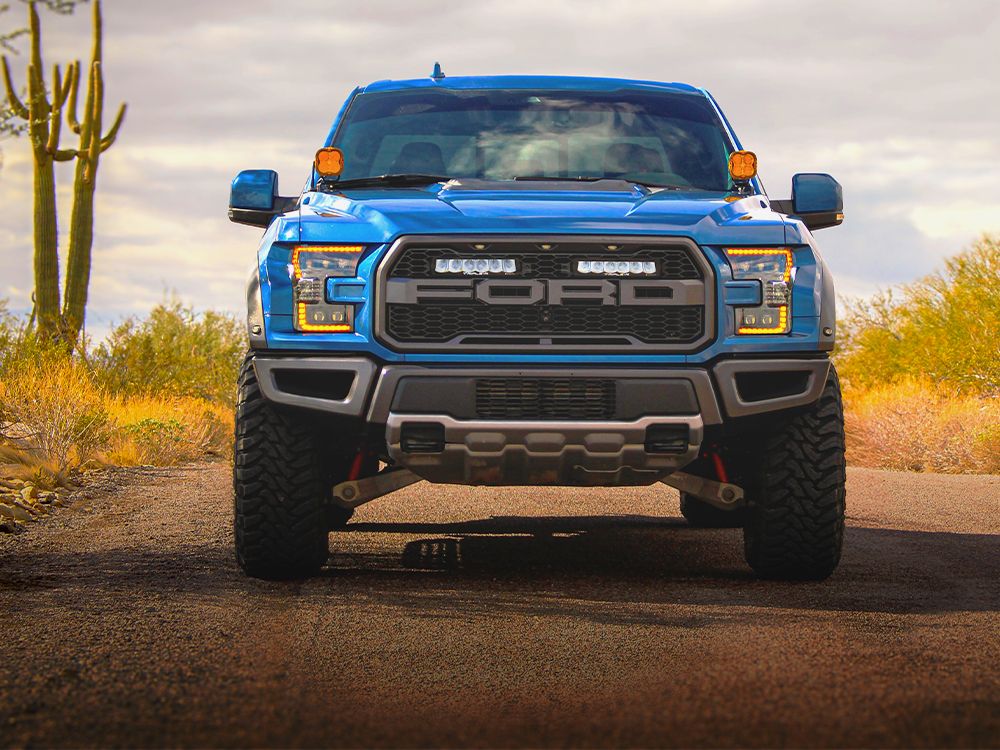 Ford F-150 Raptor (2017-2020) Grille Kit