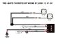 Two-Lamp Wiring Kit - Long (2 Pin, Deutsch DT, 12V)