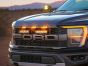 Ford F-150 Raptor (2021-2023) Grille Kit