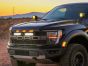 Ford F-150 Raptor (2021-2023) Grille Kit