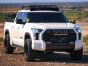 Toyota Tundra TRD PRO (2022+) Grille Kit - Linear-18/Glide