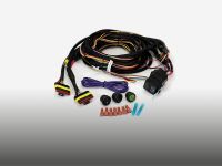 Two-Lamp Wiring Kit - Long (6-Pin, Superseal, 12V)