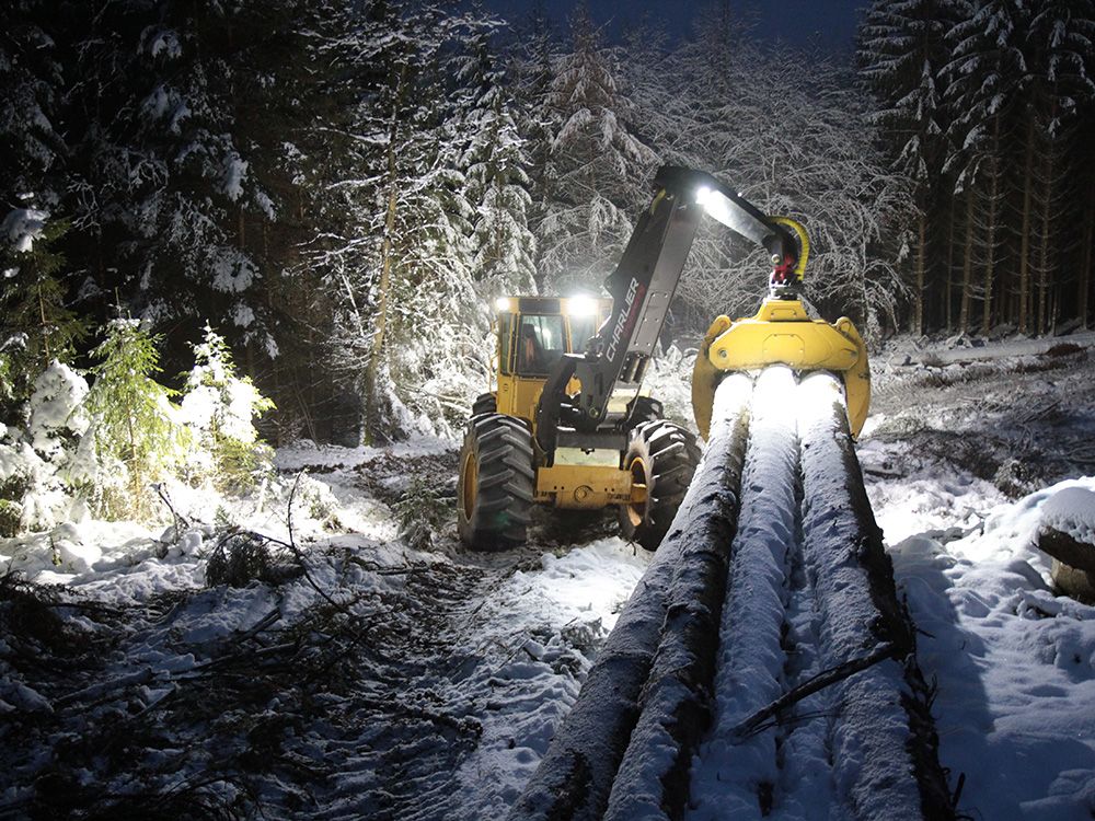 Photo showing the lamp installed in a typical setting, demonstrating its placement, angle, and lighting effect in real-world use.